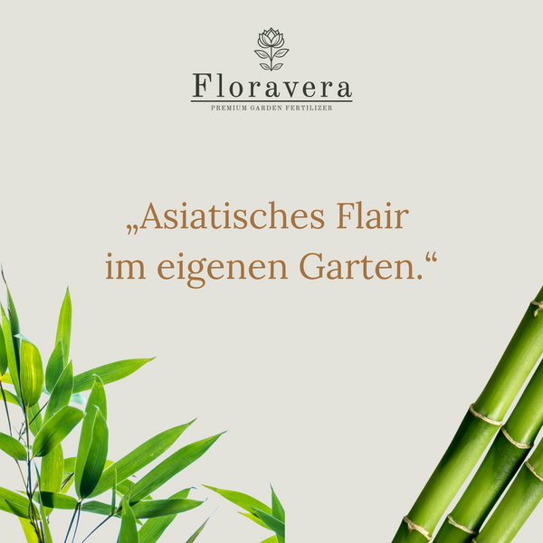 Floravera Premium Bambus Bio-Flüssigdünger 1 Liter Bambusdünger Dünger