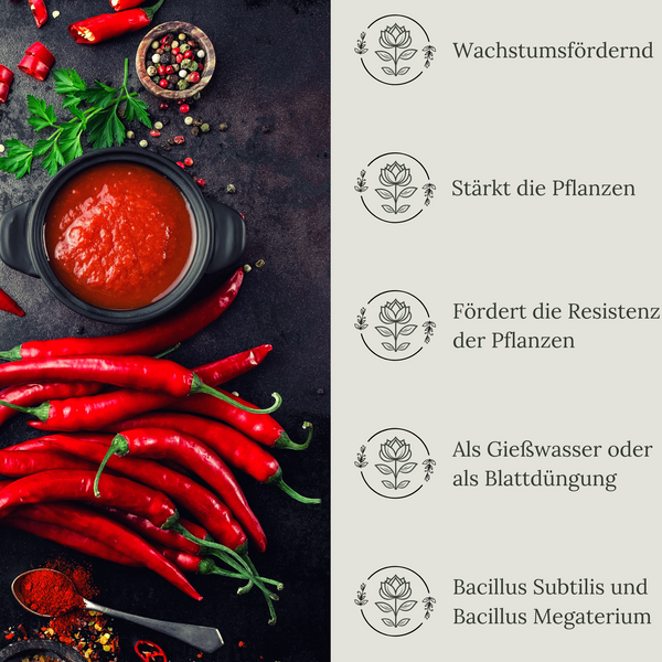 Floravera Premium Chili-Paprika Bio-Flüssigdünger 1 Liter Dünger Paprikadünger Chilidünger