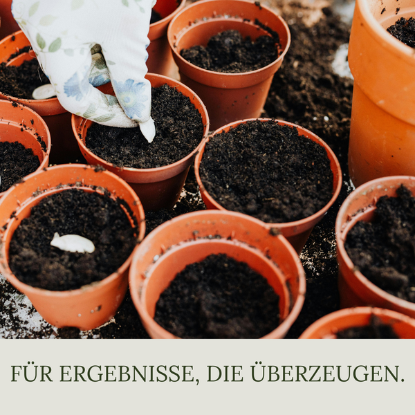 Floravera Anzuchterde Bio Vegan Torffrei 20L