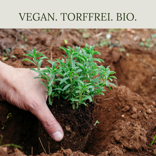 Floravera Anzuchterde Bio Vegan Torffrei 20L