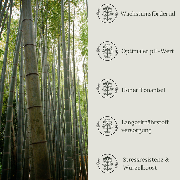 Floravera Bambuserde Bio Vegan Torfreduziert 20L