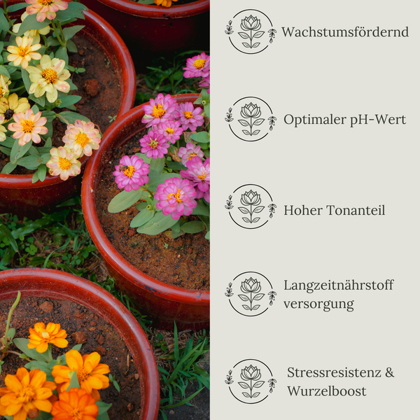 Floravera Blumenerde Bio Vegan Torffrei 20L