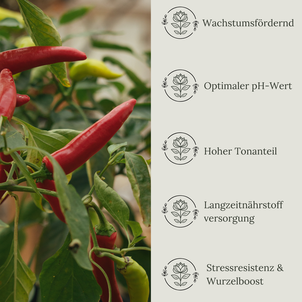 Floravera Chilierde Bio Vegan Torffrei 20L