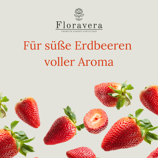Floravera Erdbeererde Bio Vegan Torffrei 20L