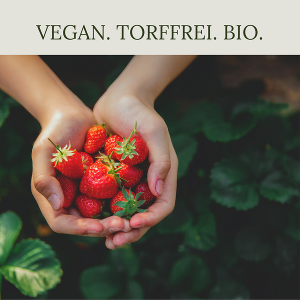 Floravera Erdbeererde Bio Vegan Torffrei 20L