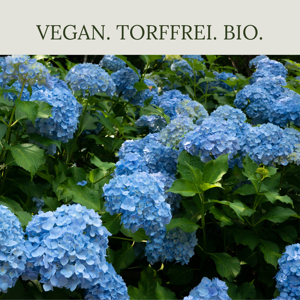 Floravera Hortensienerde Blau, Bio Vegan Torffreduziert 20L
