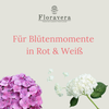Floravera Hortensienerde Rot/Weiß Bio Vegan Torffrei 20L