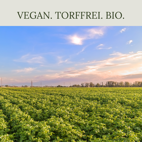 Floravera Kartoffelerde Bio Vegan Torffrei 20L