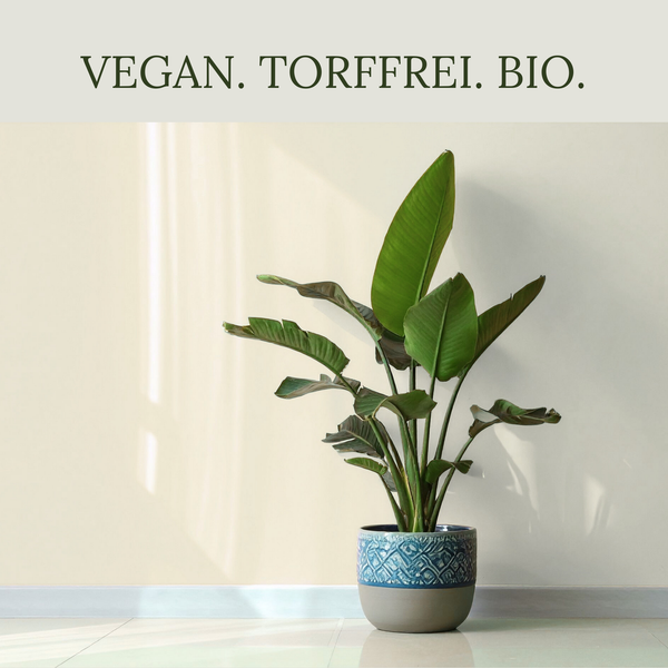 Floravera Monstera Strelitzienerde Bio Vegan Torffrei 20L