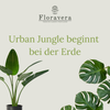 Floravera Monstera Strelitzienerde Bio Vegan Torffrei 20L