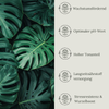 Floravera Monstera Strelitzienerde Bio Vegan Torffrei 20L