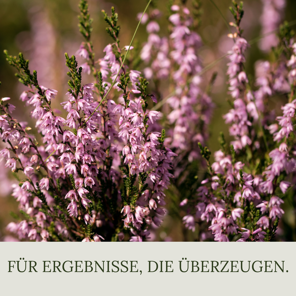 Floravera Moorbeeterde Bio Vegan Torfreduziert 20L