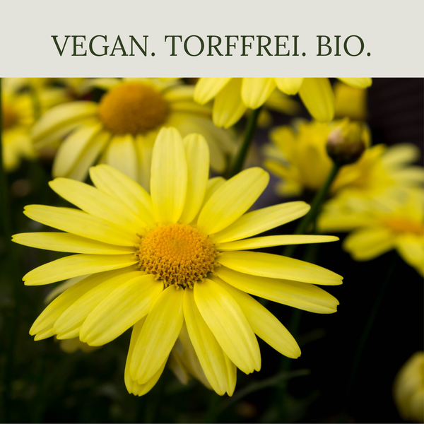 Floravera Moorbeeterde Bio Vegan Torfreduziert 20L