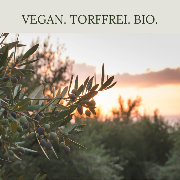 Floravera Olivenerde Bio Vegan Torffrei 20L