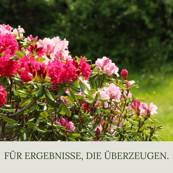 Floravera Rhododendronerde Bio Vegan Torfreduziert 20L