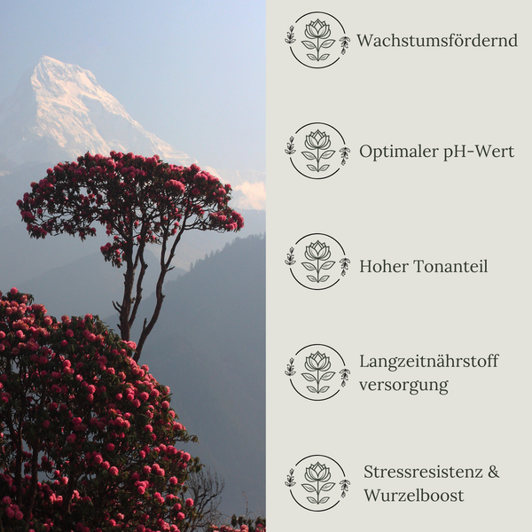 Floravera Rhododendronerde Bio Vegan Torfreduziert 20L