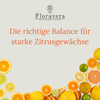 Floravera Zitruserde Bio Vegan Torffrei 20L