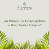 Floravera Premium Palmen Bio-Flüssigdünger 1 Liter Palmendünger Dünger