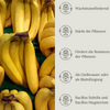 Floravera Premium Bananen Bio-Flüssigdünger 1 Liter Bananendünger Dünger