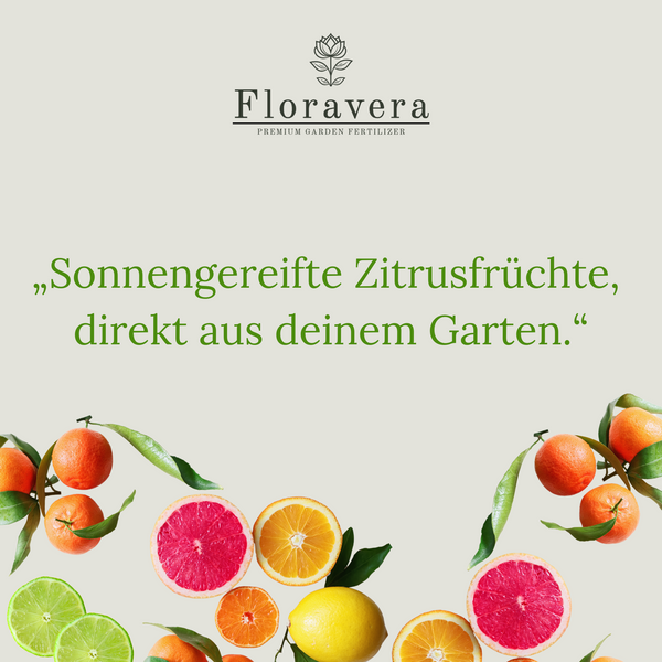 Floravera Premium CItrus Bio-Flüssigdünger 1 Liter Zitrusdünger Dünger Zitrusfrucht