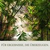 Floravera Bambuserde Bio Vegan Torfreduziert 20L