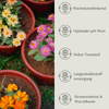 Floravera Blumenerde Bio Vegan Torffrei 20L