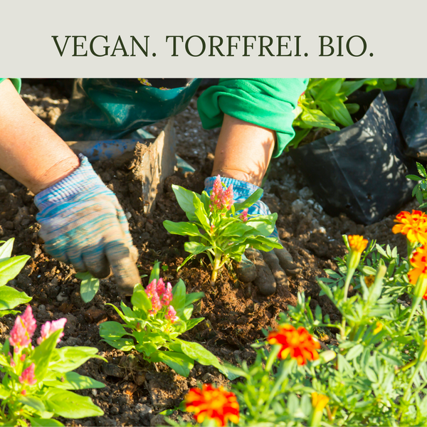 Floravera Blumenerde Bio Vegan Torffrei 20L