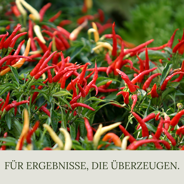 Floravera Chilierde Bio Vegan Torffrei 20L