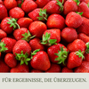 Floravera Erdbeererde Bio Vegan Torffrei 20L