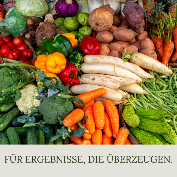 Floravera Gemüseerde Bio Vegan Torffrei 20L