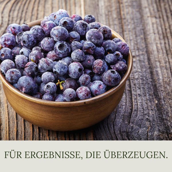 Floravera Heidelbeererde Bio Vegan Torfreduziert 20L