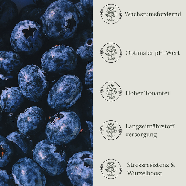 Floravera Heidelbeererde Bio Vegan Torfreduziert 20L