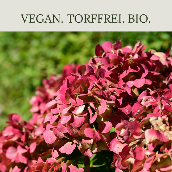 Floravera Hortensienerde Rot/Weiß Bio Vegan Torffrei 20L