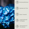 Floravera Hortensienerde Blau, Bio Vegan Torffreduziert 20L
