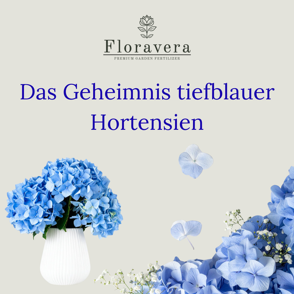Floravera Hortensienerde Blau, Bio Vegan Torffreduziert 20L
