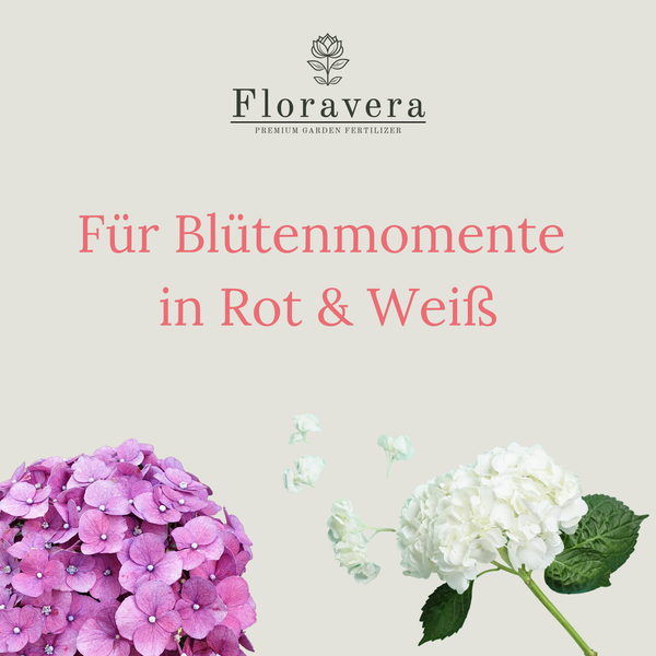Floravera Hortensienerde Rot/Weiß Bio Vegan Torffrei 20L