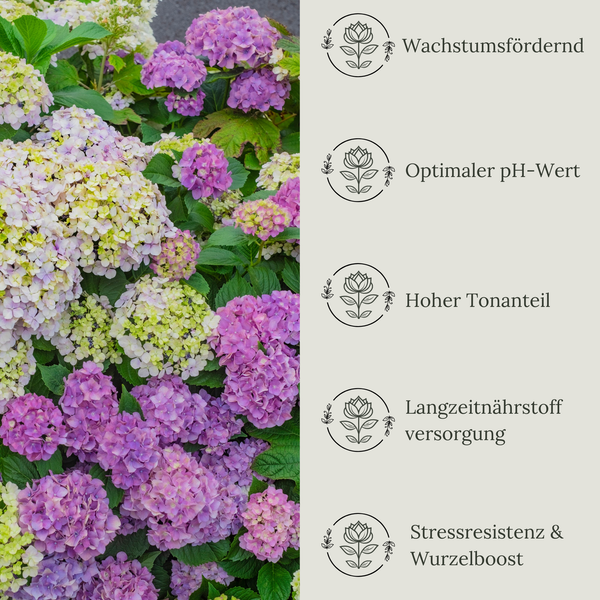 Floravera Hortensienerde Rot/Weiß Bio Vegan Torffrei 20L