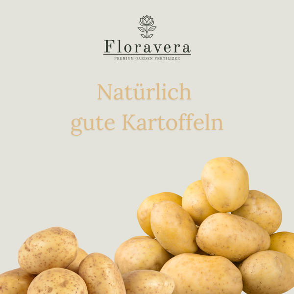 Floravera Kartoffelerde Bio Vegan Torffrei 20L