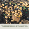 Floravera Kartoffelerde Bio Vegan Torffrei 20L