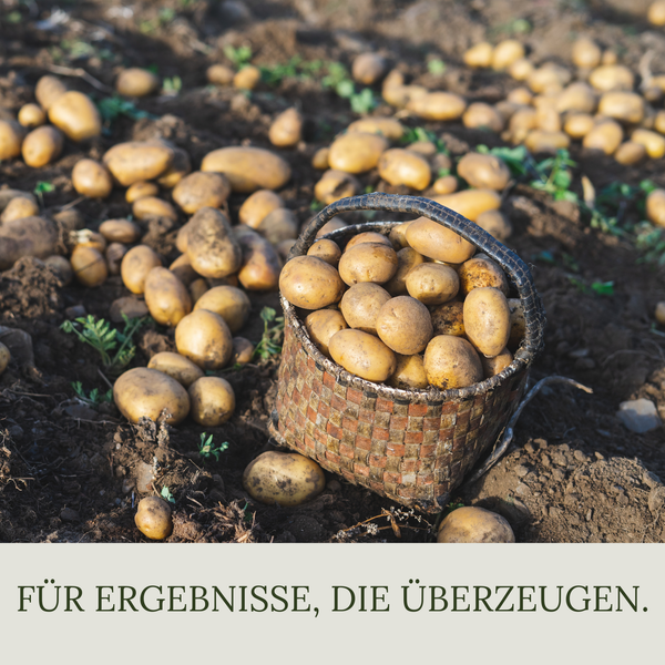 Floravera Kartoffelerde Bio Vegan Torffrei 20L