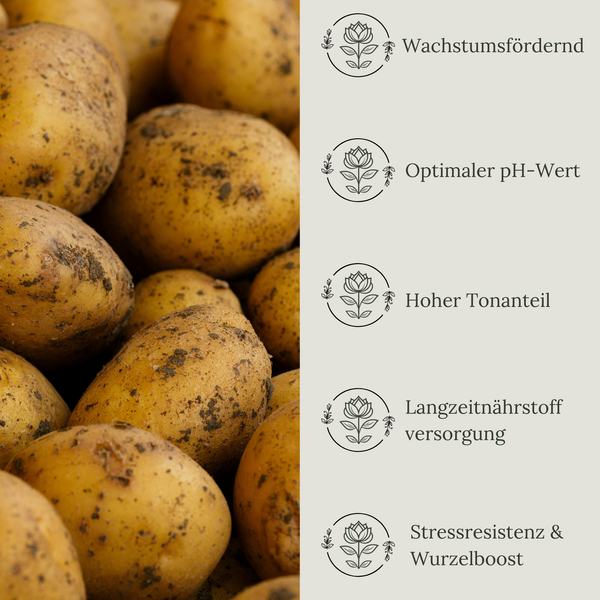 Floravera Kartoffelerde Bio Vegan Torffrei 20L