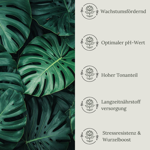 Floravera Monstera Strelitzienerde Bio Vegan Torffrei 20L