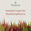 Floravera Moorbeeterde Bio Vegan Torfreduziert 20L