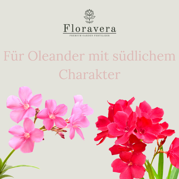 Floravera Oleandererde Bio Vegan Torffrrei 20L