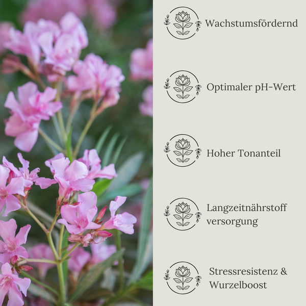 Floravera Oleandererde Bio Vegan Torffrrei 20L