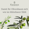 Floravera Olivenerde Bio Vegan Torffrei 20L