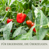 Floravera Paprikaerde Bio Vegan Torffrei 20 Liter