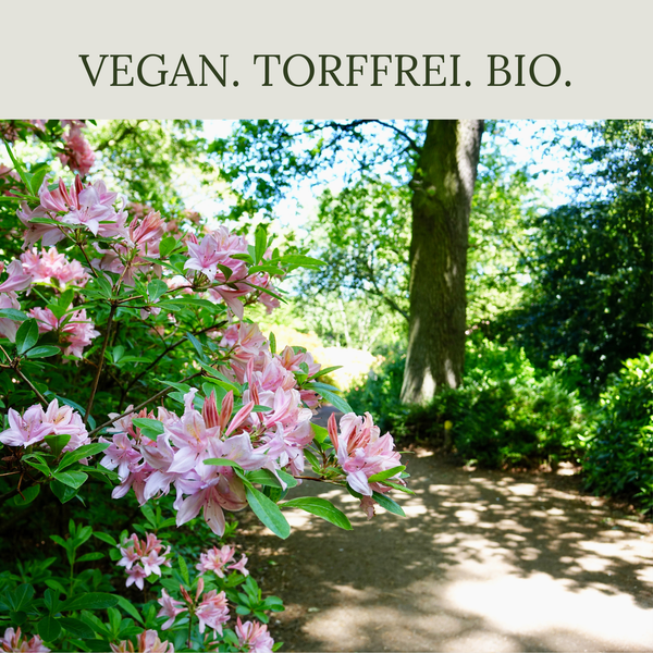 Floravera Rhododendronerde Bio Vegan Torfreduziert 20L