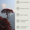 Floravera Rhododendronerde Bio Vegan Torfreduziert 20L