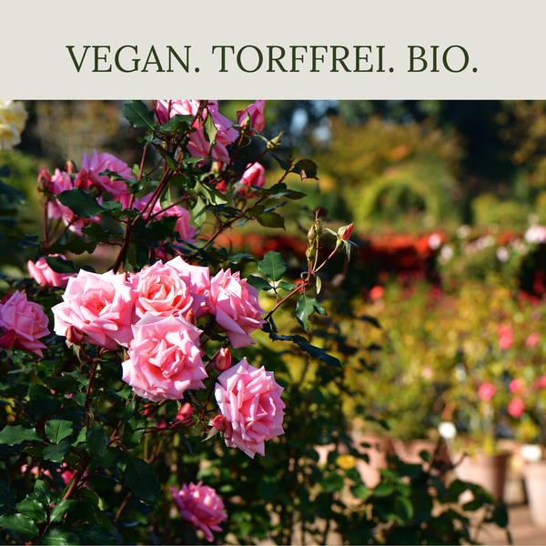 Floravera Rosenerde Bio Vegan Torffrei 20L
